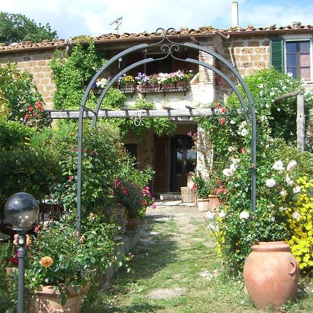 Le Querciolaie Monte Cavallo - Upper Apartment 사투르니아 외부 사진
